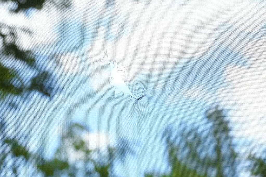 Quando é hora de revisar e trocar suas telas mosquiteiras?