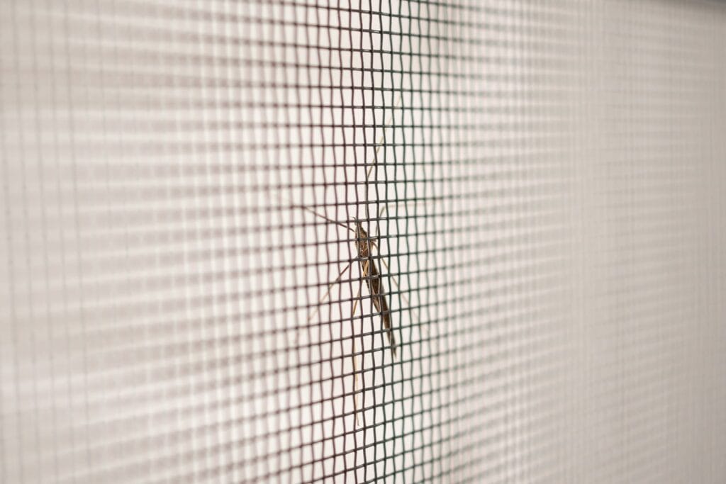 Mosquito pousado em uma tela de proteção contra insetos, destacando a importância de barreiras físicas para evitar a entrada de mosquitos em ambientes internos.